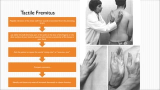Chest and Lungs History and PE. remedial_9448adab-0a0e-4293-8527 ...