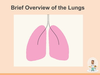 Brief Overview of the Lungs
 