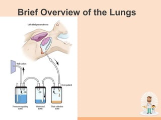 Brief Overview of the Lungs
 