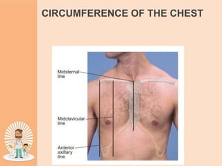 CIRCUMFERENCE OF THE CHEST
 