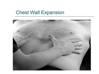 Testing Chest Expansion Chest_auscultation.ppt respiratory assessment | PPT