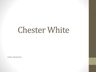 Chester White
João Antonio
 