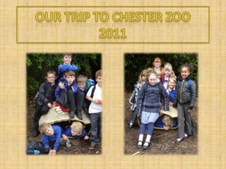 Our trip to Chester Zoo 2011 