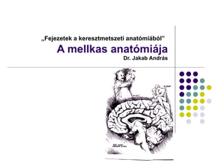 „ Fejezetek a keresztmetszeti anatómiából”   A mellkas anatómiája  Dr. Jakab András 