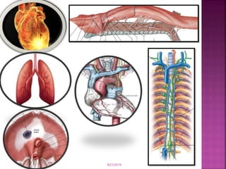 Chest Fragmentation Injuries Chest injuries & their management (2) | PPT