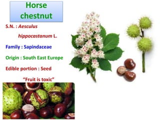 Horse
chestnut
S.N. : Aesculus
hippocastanum L.
Family : Sapindaceae
Origin : South East Europe
Edible portion : Seed
“Fruit is toxic”
 