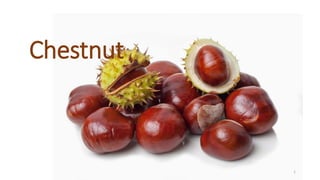 Chestnut
1
 