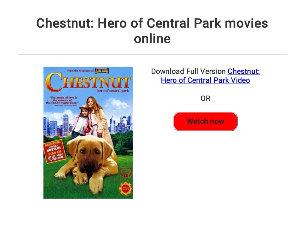 Chestnut: Hero of Central Park movies online
