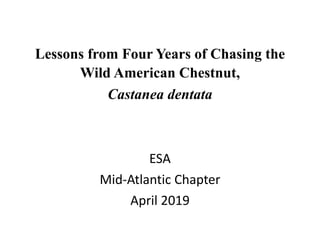 Lessons from Four Years of Chasing the
Wild American Chestnut,
Castanea dentata
ESA
Mid-Atlantic Chapter
April 2019
 