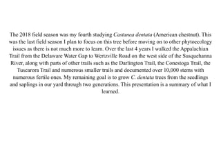 The 2018 field season was my fourth studying Castanea dentata (American chestnut). This
was the last field season I plan to focus on this tree before moving on to other phytoecology
issues as there is not much more to learn. Over the last 4 years I walked the Appalachian
Trail from the Delaware Water Gap to Wertzville Road on the west side of the Susquehanna
River, along with parts of other trails such as the Darlington Trail, the Conestoga Trail, the
Tuscarora Trail and numerous smaller trails and documented over 10,000 stems with
numerous fertile ones. My remaining goal is to grow C. dentata trees from the seedlings
and saplings in our yard through two generations. This presentation is a summary of what I
learned.
 