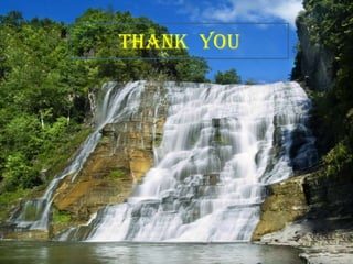 case3Vascular  causeA  33  years  old  woman  during  her  pregnancy  presented  with  severe  sudden  onset  severe  chest  pain  which  radiates  to  the  back  between  the  shoulder  baldesCharacter  of  pain :  tearing  or  ripping  sensationPrecipitating  factors:  Hypertension  Connective  tissue  disorderDiagnosis  ?