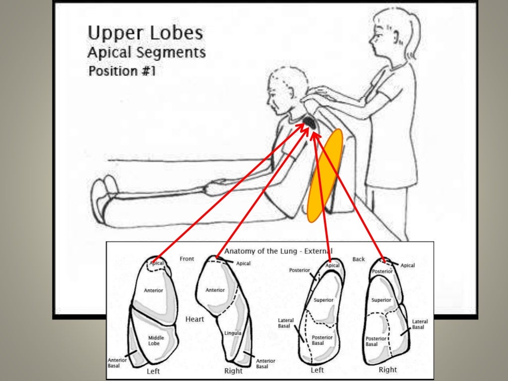 Chest Physiotherapy.. Dr.Padmesh