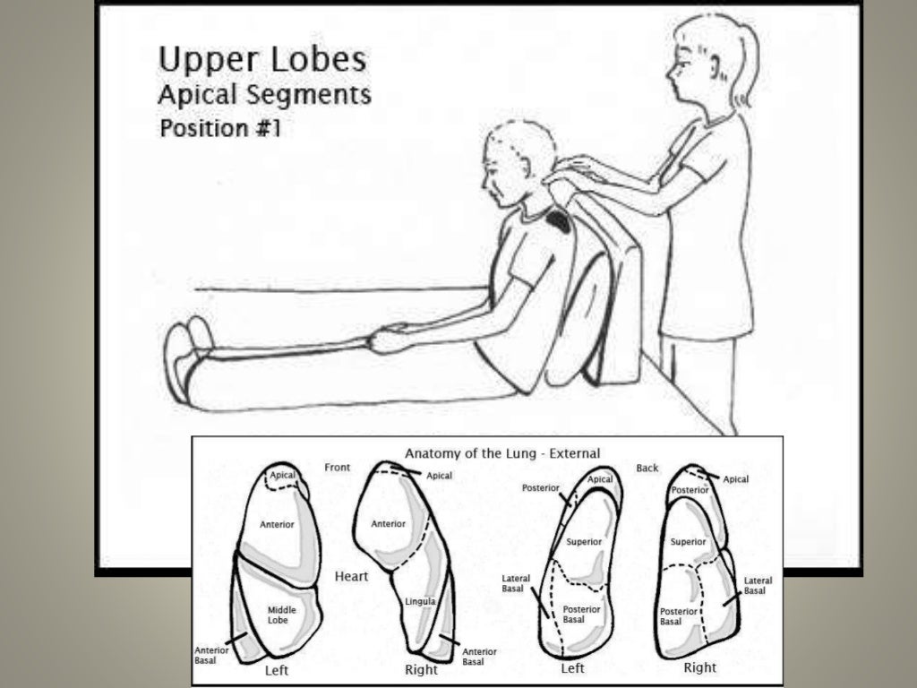 Chest Physiotherapy.. Dr.Padmesh