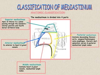 ANATOMIC CLASSIFICATION
The mediastinum is divided into 4 parts
Superior mediastinum
Apex of thorax to a plane
passing through the manubrio-
sternal junction and fourth
dorsal vertebral body
Anterior mediastinum
Is anterior to heart & great
vessels
Middle mediastinum
Contains heart & great
vessels, mediastinal lymph
nodes
Posterior mediastinum
Contains descending thoracic
aorta, azygous/hemiazygous
veins,esophagus, thoracic duct,
splanchnic nerves & posterior
mediastinal lymph nodes
 