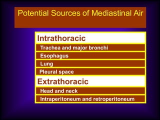 Potential Sources of Mediastinal Air
Intrathoracic
Trachea and major bronchi
Esophagus
Lung
Pleural space
Extrathoracic
Head and neck
Intraperitoneum and retroperitoneum
 