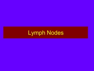 Lymph Nodes
 