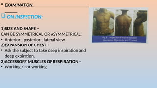 ? EXAMINATION.
? ON INSPECTION:
1)SIZE AND SHAPE C
CAN BE SYMMETRICAL OR ASYMMETRICAL.
? Anterior , posterior , lateral view
2)EXPANSION OF CHEST C
? Ask the subject to take deep inspiration and
deep expiration.
3)ACCESSORY MUSCLES OF RESPIRATION C
? Working / not working
 