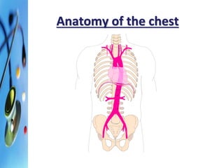 Anatomy of the chest 
 