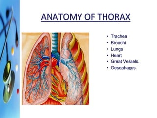 ANATOMY OF THORAX 
• Trachea 
• Bronchi 
• Lungs 
• Heart 
• Great Vessels. 
• Oesophagus 
 