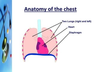 Anatomy of the chest 
Two Lungs (right and left) 
Heart 
Diaphragm 
 