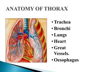 • Trachea
• Bronchi
• Lungs
• Heart
• Great
Vessels.
• Oesophagus
 