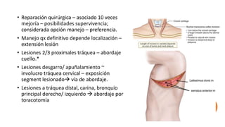 • Reparación quirúrgica – asociado 10 veces
mejoría – posibilidades supervivencia;
considerada opción manejo – preferencia.
• Manejo qx definitivo depende localización –
extensión lesión
• Lesiones 2/3 proximales tráquea – abordaje
cuello.*
• Lesiones desgarro/ apuñalamiento ~
involucro tráquea cervical – exposición
segment lesionado vía de abordaje.
• Lesiones a tráquea distal, carina, bronquio
principal derecho/ izquierdo  abordaje por
toracotomía
 