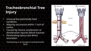 Accelaration Injries Chest Trauma: Assessment, Life-Threatening Injuries, and Emergency ...