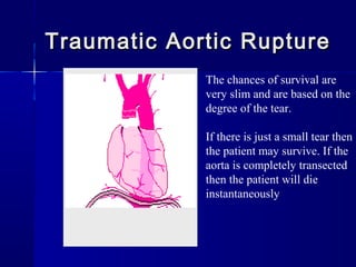 Traumatic Aortic RuptureTraumatic Aortic Rupture
The chances of survival are
very slim and are based on the
degree of the tear.
If there is just a small tear then
the patient may survive. If the
aorta is completely transected
then the patient will die
instantaneously
 