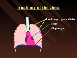 Anatomy of the chestAnatomy of the chest
Two Lungs (right and left)
Heart
Diaphragm
 