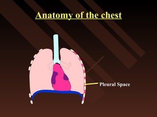 Anatomy of the chestAnatomy of the chest
Pleural Space
 