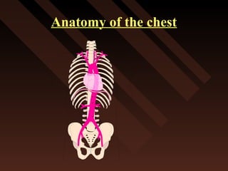 Anatomy of the chest
 