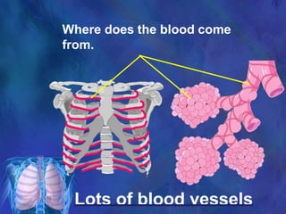 Lots of blood vessels
Where does the blood come
from.
 