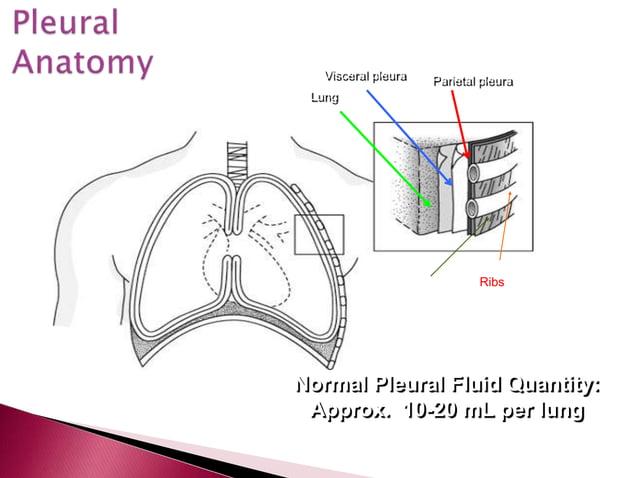Chest tubes dmw | PPT