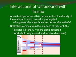 • Acoustic impedance (AI) is dependent on the density of
the material in which sound is propagated
- the greater the impedance the denser the material.
• Reflections comes from the interface of different AI’s
• greater  of the AI = more signal reflected
• works both ways (send and receive directions)
Medium 1 Medium 2 Medium 3
Transducer
Interactions of Ultrasound with
Tissue
 