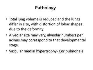 Pathology
• Total lung volume is reduced and the lungs
differ in size, with distortion of lobar shapes
due to the deformity.
• Alveolar size may vary, alveolar numbers per
acinus may correspond to that developmental
stage.
• Vascular medial hypertrophy- Cor pulmonale
 