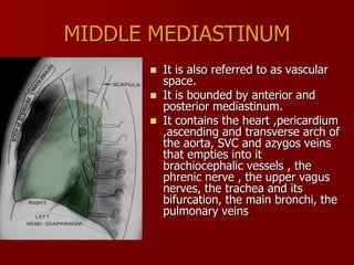 MIDDLE MEDIASTINUM




It is also referred to as vascular
space.
It is bounded by anterior and
posterior mediastinum.
It contains the heart ,pericardium
,ascending and transverse arch of
the aorta, SVC and azygos veins
that empties into it
brachiocephalic vessels , the
phrenic nerve , the upper vagus
nerves, the trachea and its
bifurcation, the main bronchi, the
pulmonary veins

 