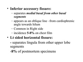 Chest x ray and other imaging investigations of chest by dr bishnu | PDF
