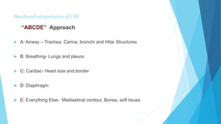 Structured interpretation of CXR
“ABCDE” Approach
 A: Airway – Trachea, Carina, bronchi and Hilar Structures
 B: Breathing- Lungs and pleura
 C: Cardiac- Heart size and border
 D: Diaphragm
 E: Everything Else- Mediastinal contour, Bones, soft tisues
 