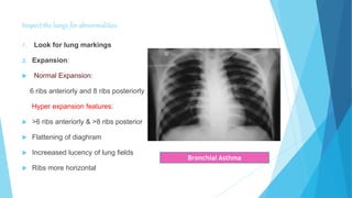 Inspect the lungs for abnormalities:
1. Look for lung markings
2. Expansion:
 Normal Expansion:
6 ribs anteriorly and 8 ribs posteriorly
Hyper expansion features:
 >6 ribs anteriorly & >8 ribs posterior
 Flattening of diaghram
 Increeased lucency of lung fields
 Ribs more horizontal
Bronchial Asthma
 