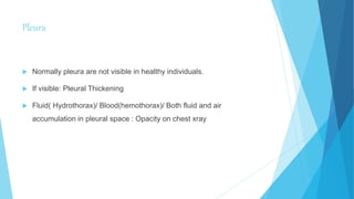 Pleura
 Normally pleura are not visible in healthy individuals.
 If visible: Pleural Thickening
 Fluid( Hydrothorax)/ Blood(hemothorax)/ Both fluid and air
accumulation in pleural space : Opacity on chest xray
 