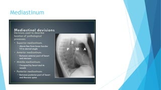 Mediastinum
 