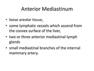 Anterior Mediastinum
• loose areolar tissue,
• some lymphatic vessels which ascend from
  the convex surface of the liver,
• two or three anterior mediastinal lymph
  glands
• small mediastinal branches of the internal
  mammary artery.
 