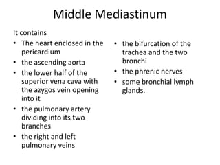 Middle Mediastinum
It contains
• The heart enclosed in the   • the bifurcation of the
    pericardium                 trachea and the two
• the ascending aorta           bronchi
• the lower half of the       • the phrenic nerves
    superior vena cava with   • some bronchial lymph
    the azygos vein opening     glands.
    into it
• the pulmonary artery
    dividing into its two
    branches
• the right and left
    pulmonary veins
 