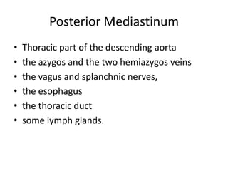 Posterior Mediastinum
•   Thoracic part of the descending aorta
•   the azygos and the two hemiazygos veins
•   the vagus and splanchnic nerves,
•   the esophagus
•   the thoracic duct
•   some lymph glands.
 