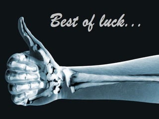 Chest X-rays for Undergraduates