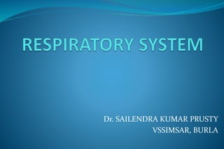Dr. SAILENDRA KUMAR PRUSTY
VSSIMSAR, BURLA
 