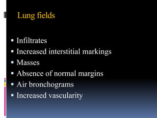 Lung fields

   Infiltrates
   Increased interstitial markings
   Masses
   Absence of normal margins
   Air bronchograms
   Increased vascularity
 