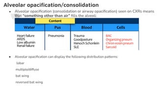 Alveolar opaciﬁcation/consolidation
● Alveolar opaciﬁcation (consolidation or airway opaciﬁcation) seen on CXRs means
that “something other than air” ﬁlls the alveoli.
● Alveolar opaciﬁcation can display the following distribution patterns:
lobar
multiple/diffuse
bat wing
reversed bat wing
 