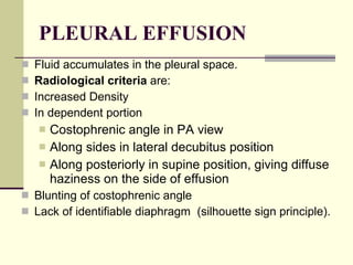 PLEURAL EFFUSION Fluid accumulates in the pleural space. Radiological criteria  are:  Increased Density  In dependent portion Costophrenic angle in PA view  Along sides in lateral decubitus position  Along posteriorly in supine position, giving diffuse haziness on the side of effusion  Blunting of costophrenic angle   Lack of identifiable diaphragm  (silhouette sign principle).  