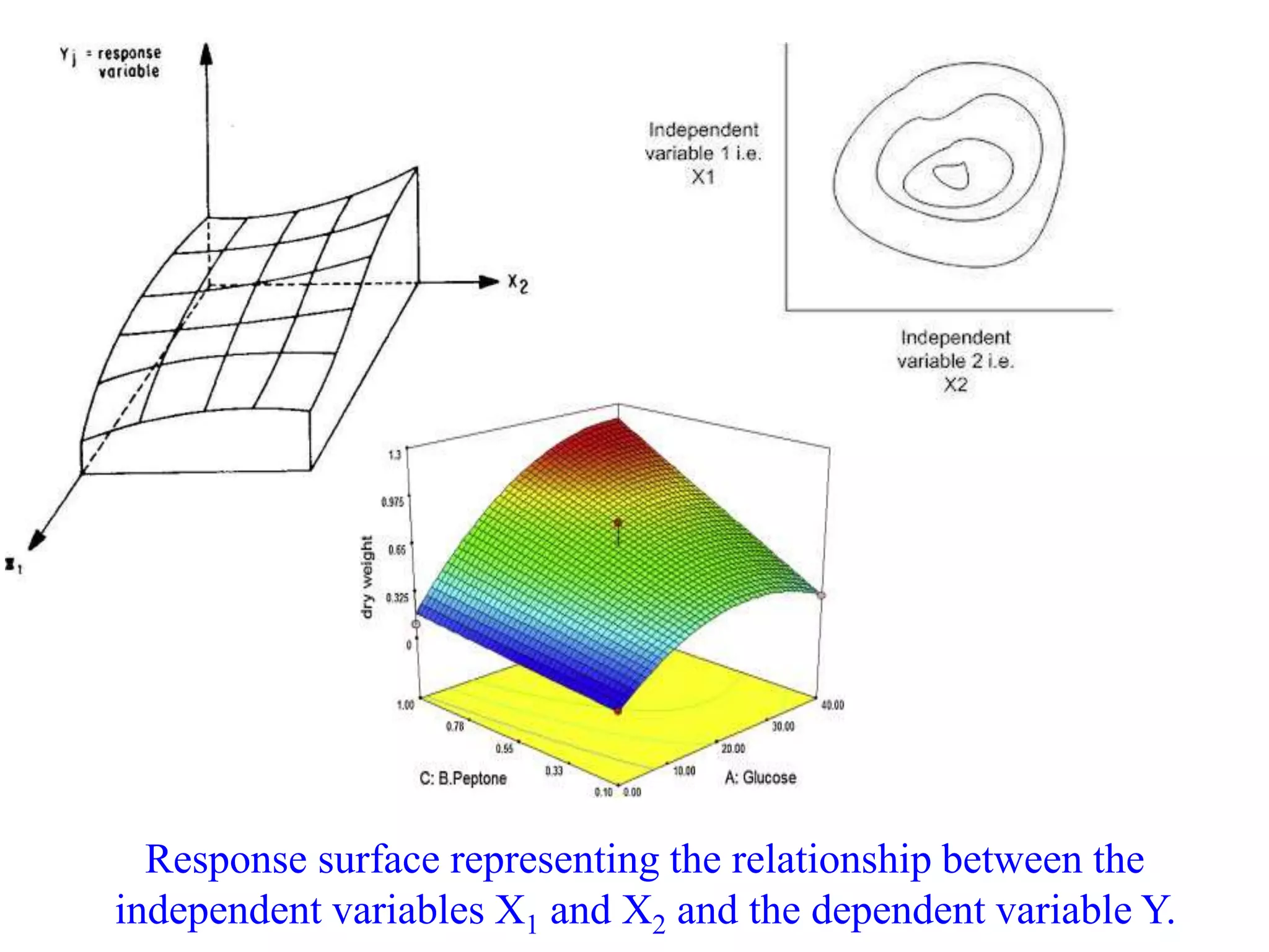 Response surface representing the relationship between the
independent variables X1 and X2 and the dependent variable Y.
 